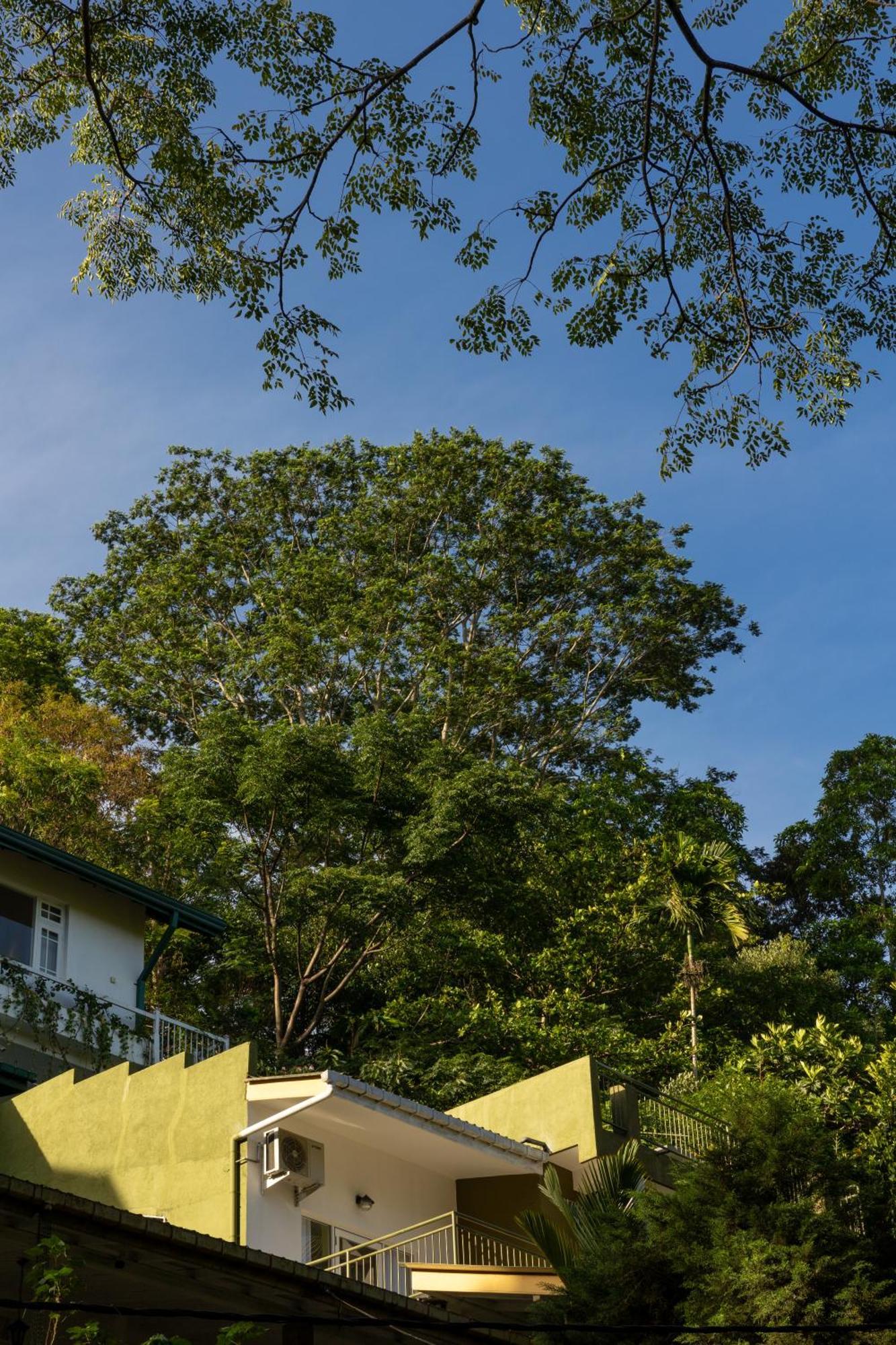 Greenwood Edge Kandy Exteriör bild